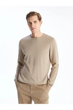 LC Waikiki Lcw Crew Neck Long Sleeve Men's Knitwear Sweater