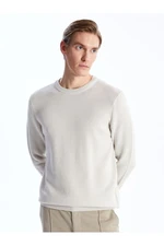 LC Waikiki Crew Neck Long Sleeve Men's Knitwear Sweater