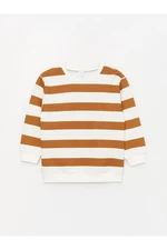 LC Waikiki Crew Neck Long Sleeve Striped Baby Boy Sweatshirt