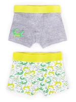 Yoclub Kids's Cotton Boys' Boxer Briefs Underwear 2-pack BMB-0011C-AA30-001