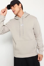 Trendyol Gray Regular/Normal Fit Hooded Long Sleeve Sweatshirt