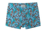 Hugon Boys' Boxer Shorts - Monkey Print