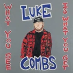 Luke Combs - What You See Is What You Get (2 LP)