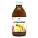 EKOMEDICA Zázvor s citronem 250 ml