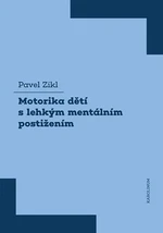 Motorika dětí s lehkým mentálním postižením - Pavel Zikl - e-kniha