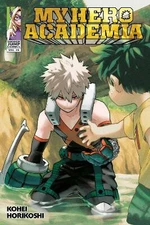 My Hero Academia 29 - Kóhei Horikoši