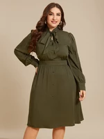 Plus Size Crew Neck Button Design Knotted Dress