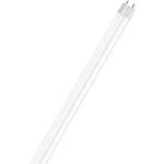 LED žárovka OSRAM 4058075292413 230, G13, 8 W, studená bílá, A++ (A++ - E), tvar tyče, 1 ks