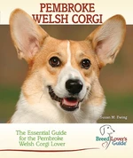 Pembroke Welsh Corgi