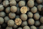 LK Baits Top ReStart Boilies Sea Food  20 mm, 5kg