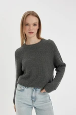 DEFACTO Cool Regular Fit Crew Neck Basic Knitwear Sweater