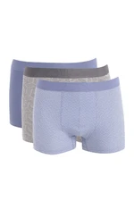 DEFACTO Regular Fit 3-pack Boxer