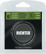 Richter Ion Coated Electric Guitar Strings - 010-052 Cordes pour guitares électriques