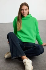 Trendyol Green Regular/Normal Fit Basic Hooded Thick Inside Fleece Knitted Sweatshirt