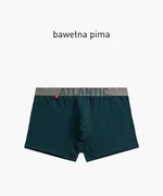 Men's Atlantic Boxer Shorts - Green