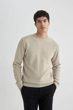 DEFACTO Standard Fit Crew Neck Sweater