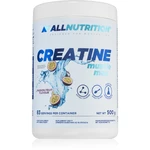 Allnutrition Creatine Muscle Max podpora sportovního výkonu příchuť Passion Fruit 500 g