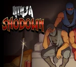 Ninja Shodown Steam CD Key