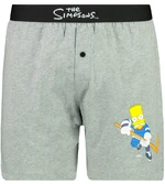 Men’s trunks The Simpsons - Frogies