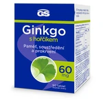 GS Ginkgo 60 mg s horčíkom 90 tabliet