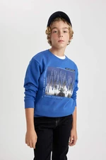 DEFACTO Regular Fit Crew Neck Sweatshirt