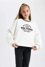 DEFACTO Oversize Fit Sweatshirt