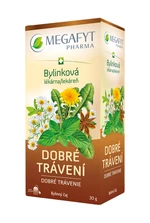 Megafyt Bylinková lékárna Dobré trávení 20x1,5 g