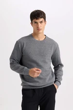 DEFACTO Grey Regular Fit Crew Neck Jacquard Sweatshirt