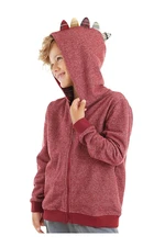 Denokids Dragon Boy Hooded Sweatshirt