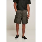 Short Cargo Shorts darkshadow