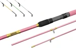 Delphin Queen Feeder Rod 3,3 m 100 g 3 parti