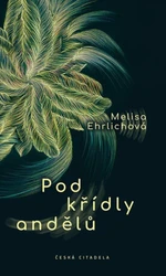 Pod křídly andělů - Melisa Ehrlichová