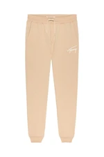 Tommy Jeans Sweatpants - TJM SIGNATURE SWEATP beige