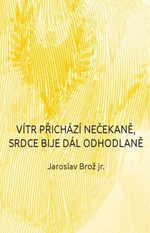 Vítr přichází nečekaně, srdce bije dál odhodlaně - Jaroslav Brož