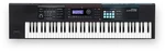 Roland JUNO-DS76 Synthesizer