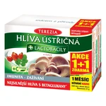 TEREZIA HLIVA USTRICOVITÁ + LAKTOBACILY